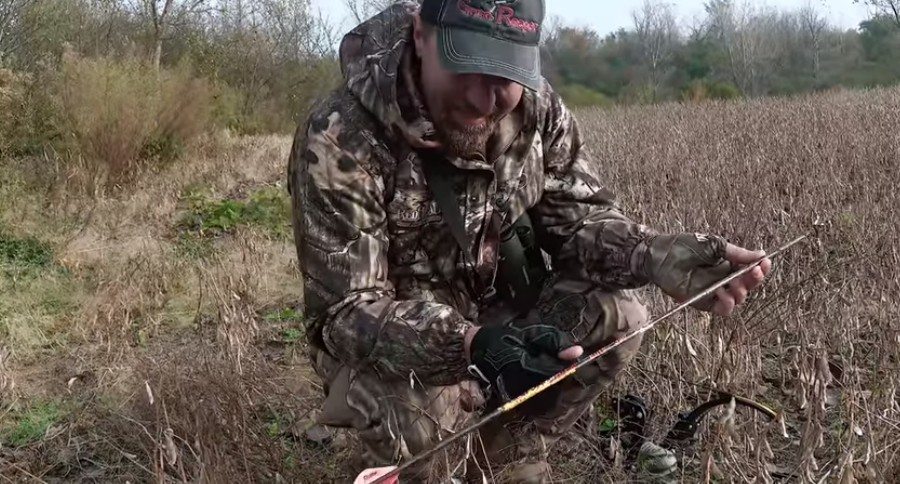 Illinois whitetail