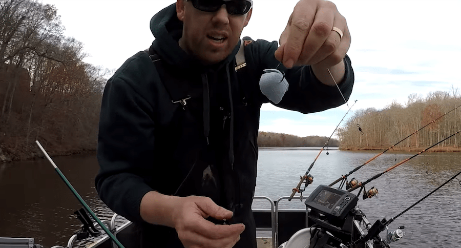 catfish attractants