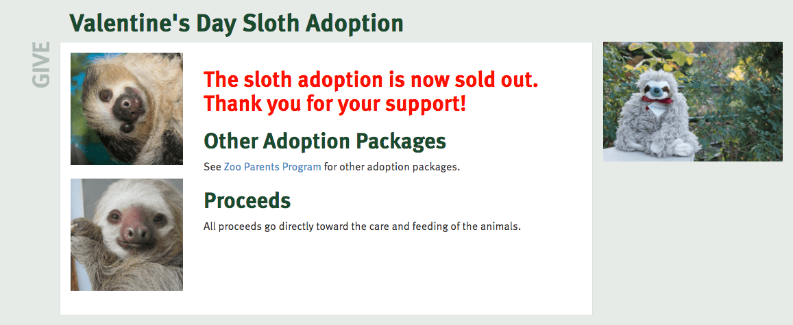 adopt a sloth