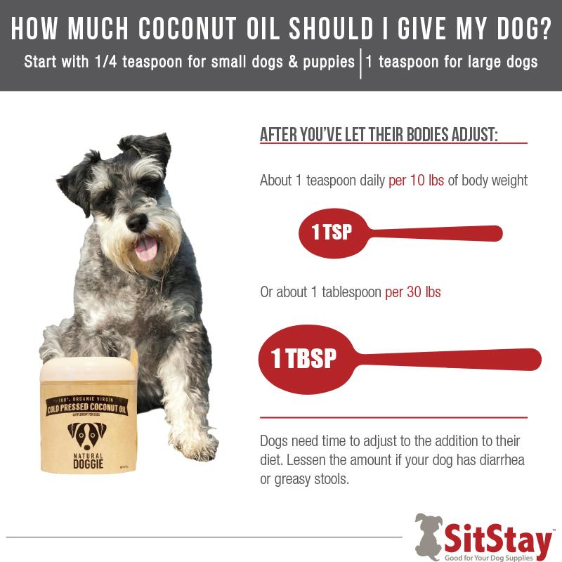 coconut oil for dogs