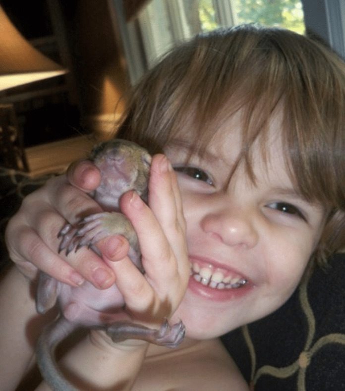 Girl with baby squirrel