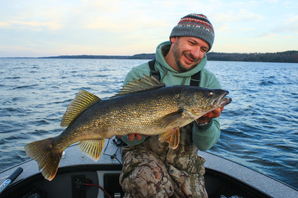 Bay of Quinte Walleye