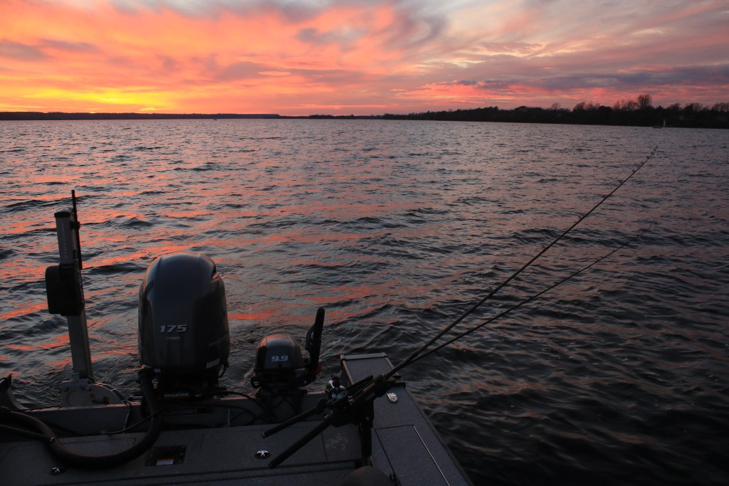 Bay of Quinte Walleye