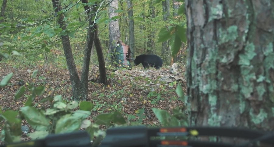 Watch This Boy Take His First Bear On A Hunt With His Dad In Arkansas