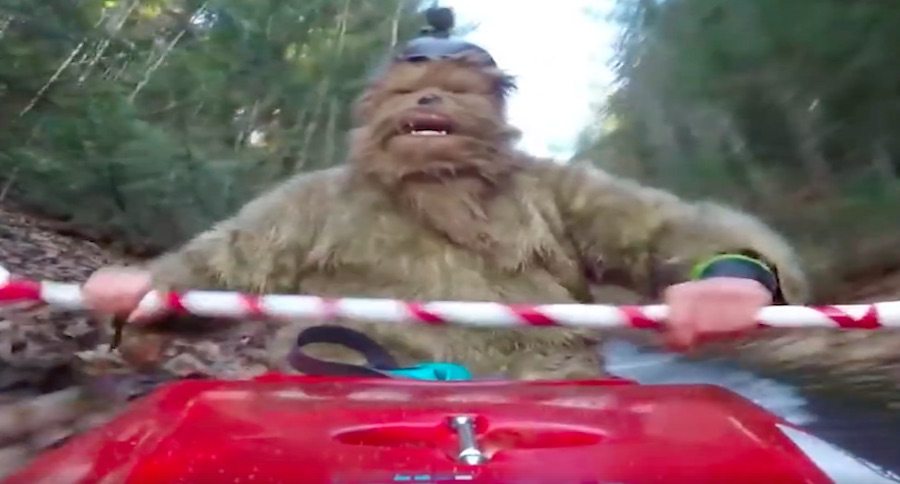 Bigfoot