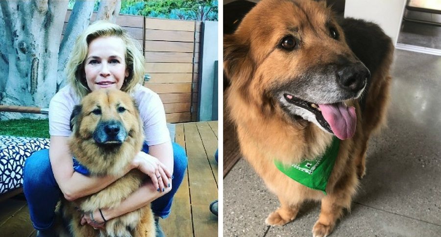 Chelsea Handler Shares Heartfelt Goodbye to Her Dog Chunk