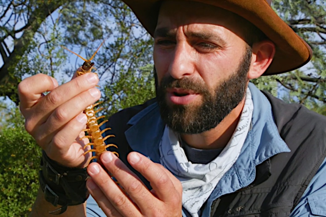 Coyote Peterson's 15 Most Painful-Looking Wildlife Encounters - Wide