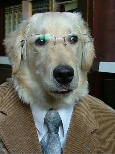 dog as teacher