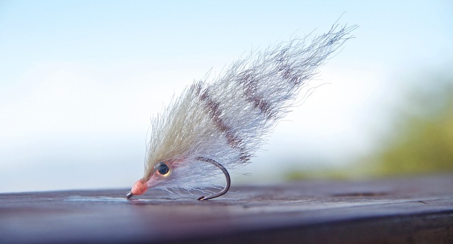 pinfish fly