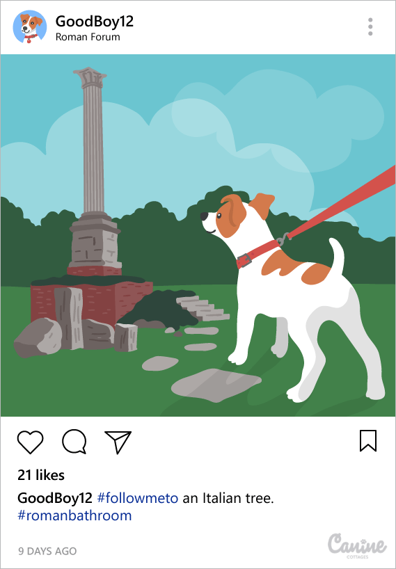 Instagram dog