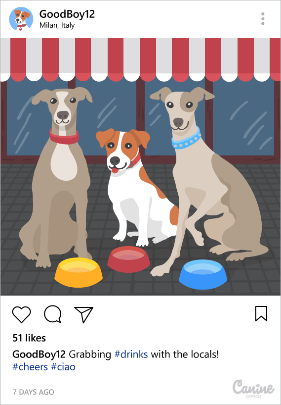 Instagram dog