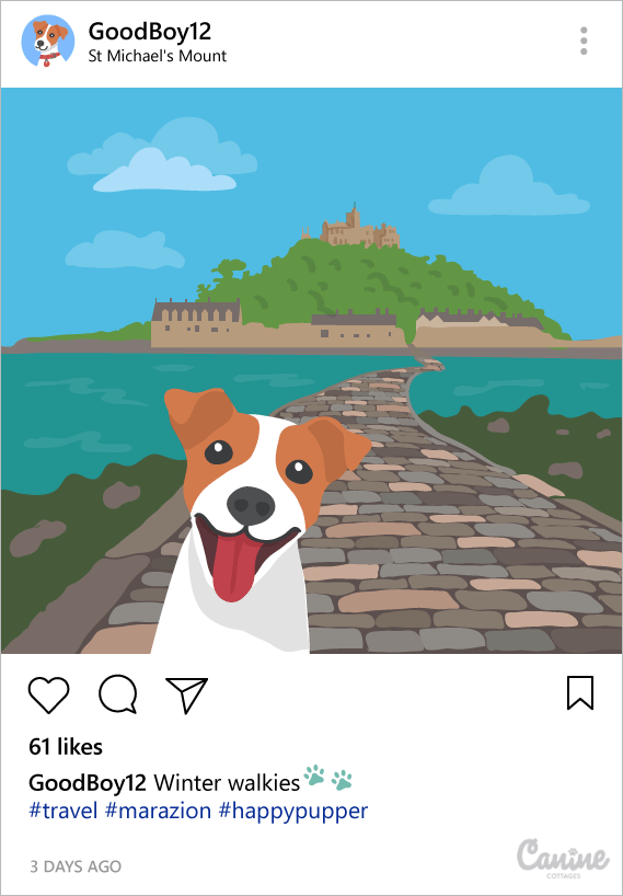 Instagram Dog
