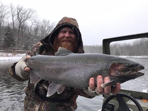 spring steelhead