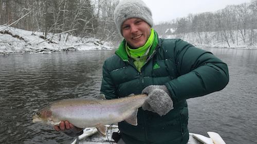 spring steelhead