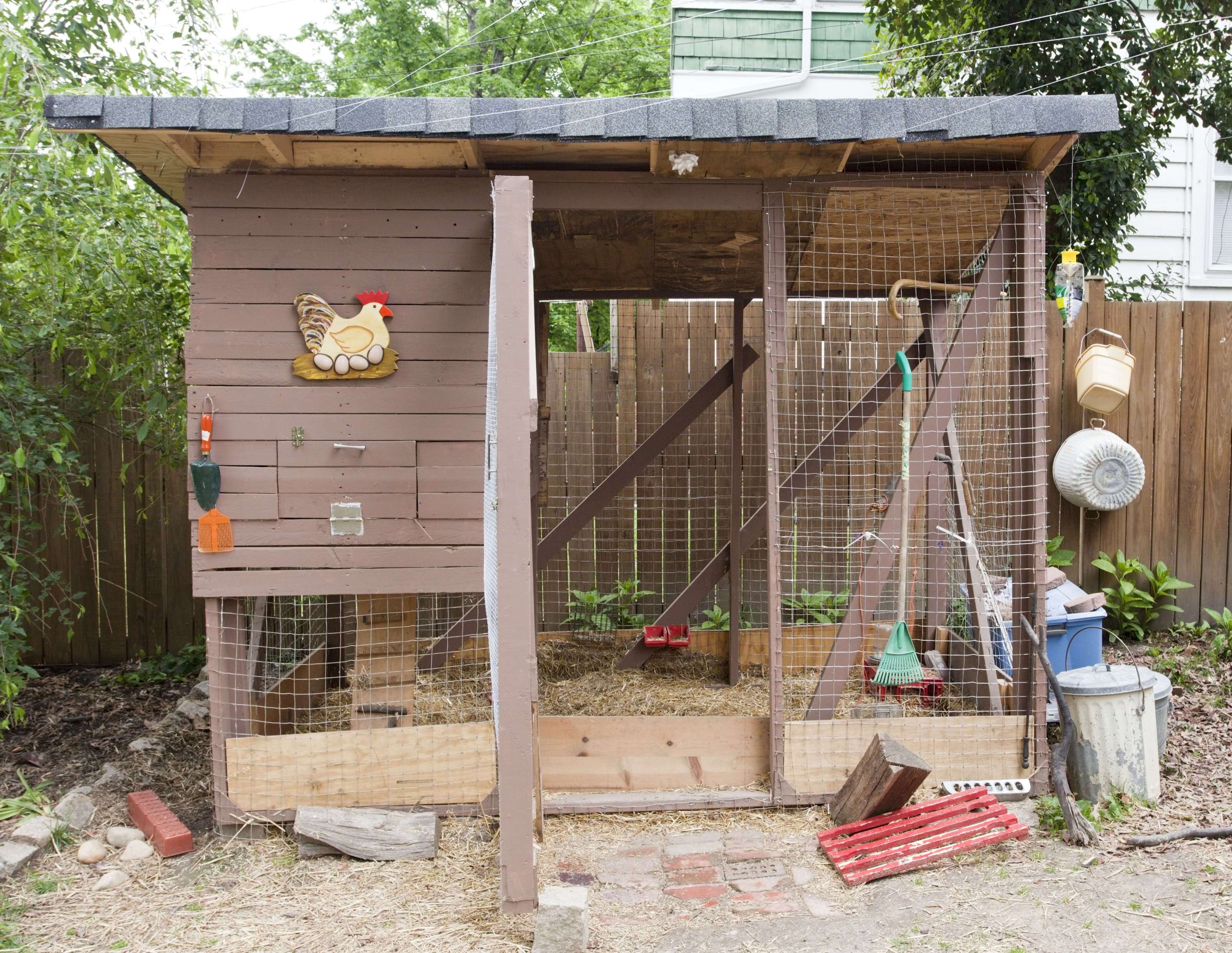 Urban backyard chicken coop. Horizontal.