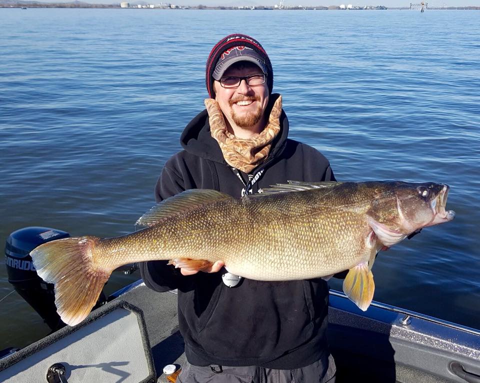 trophy walleye