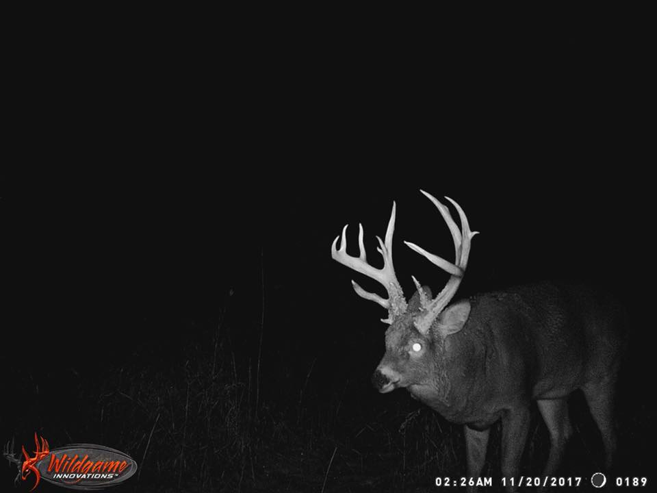 trail cam tuesday