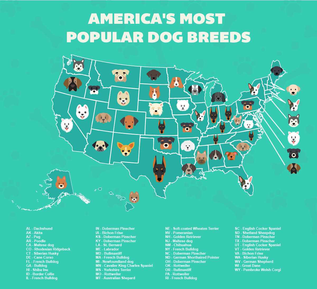 America's Most Popular Dog Breeds