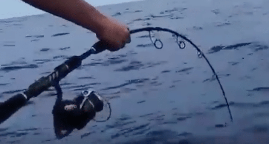 Stella fishing reel