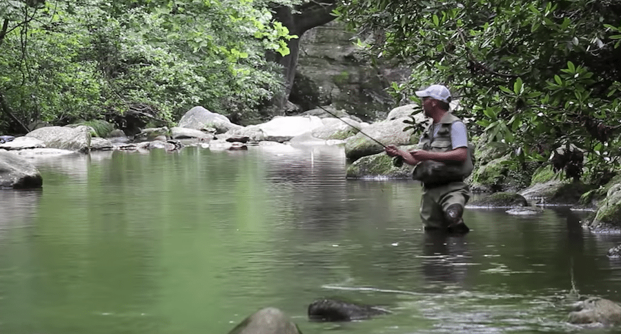 Project Healing Waters