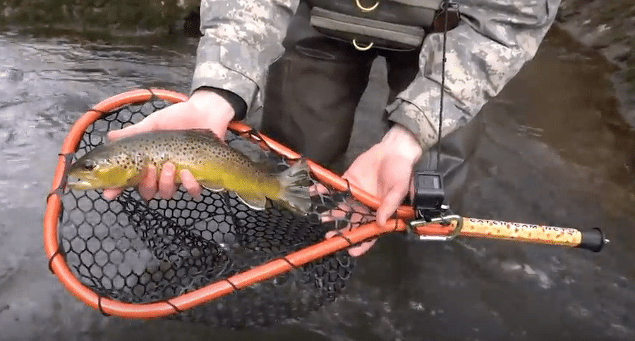 Catch Cam Nets
