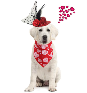 Valentine's Day Pet Bandana