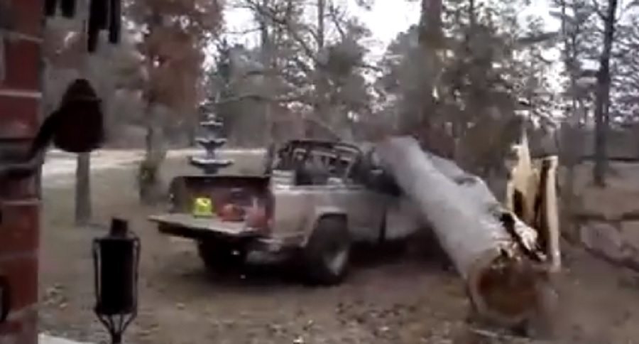 These Are the Worst Tree-Cutting Fails Ever - Wide Open Spaces