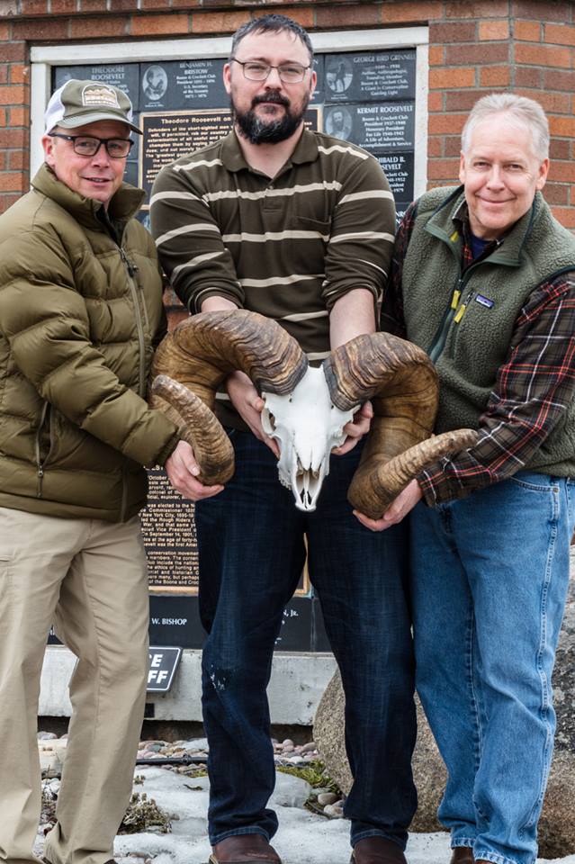 world record bighorn sheep