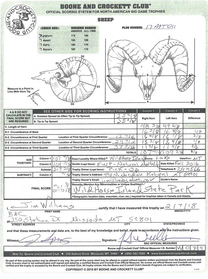 world record bighorn sheep