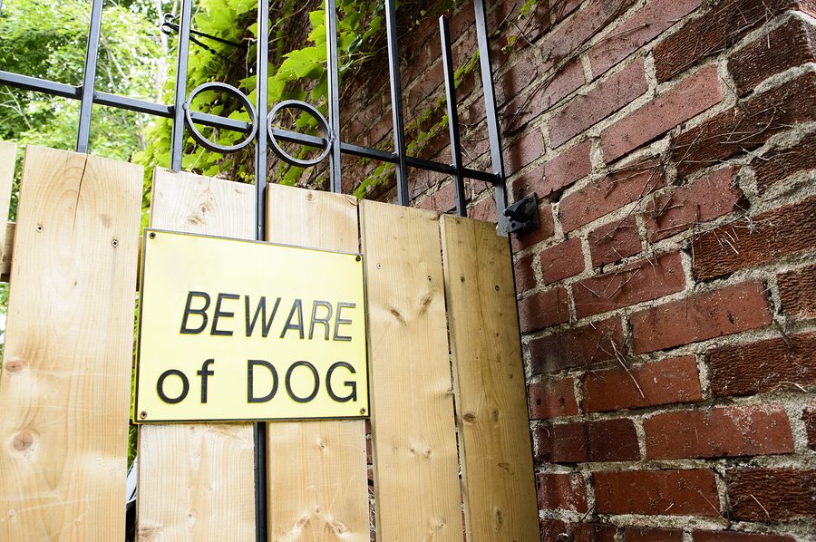 Beware of dog sign, danger warning preventing people from entering home to let them know dog is on premises and avoid trespassers or burglars and protect owner liability