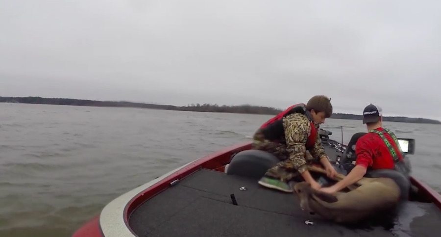 deer rescue
