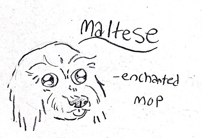 dog breed illustrations
