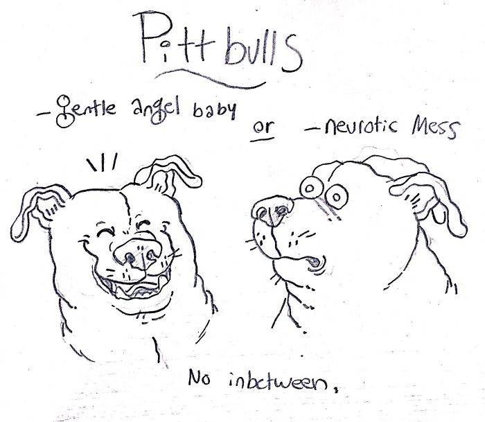 dog breed illustrations