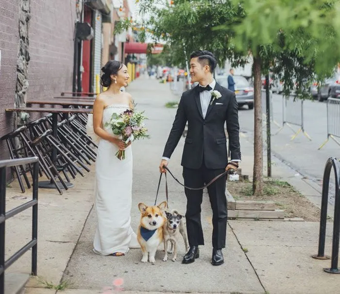 couple and dogs