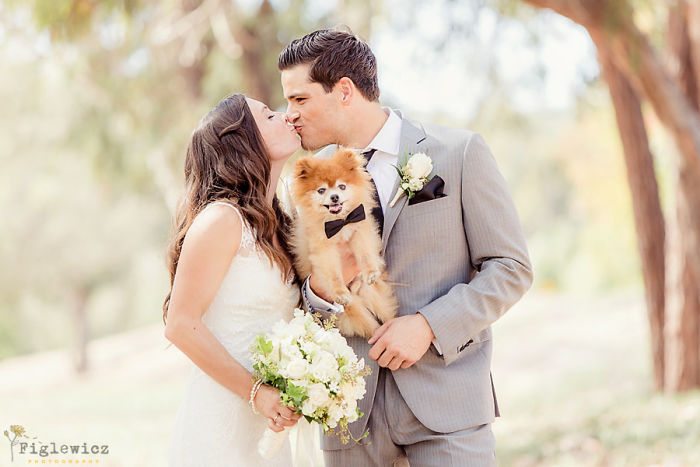 couple and dog