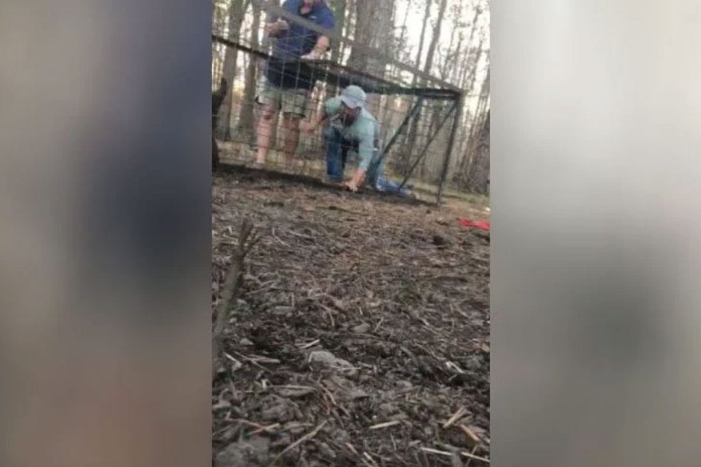Hog Trapping Gone Wrong In The Worst Possible Way Wide Open Spaces