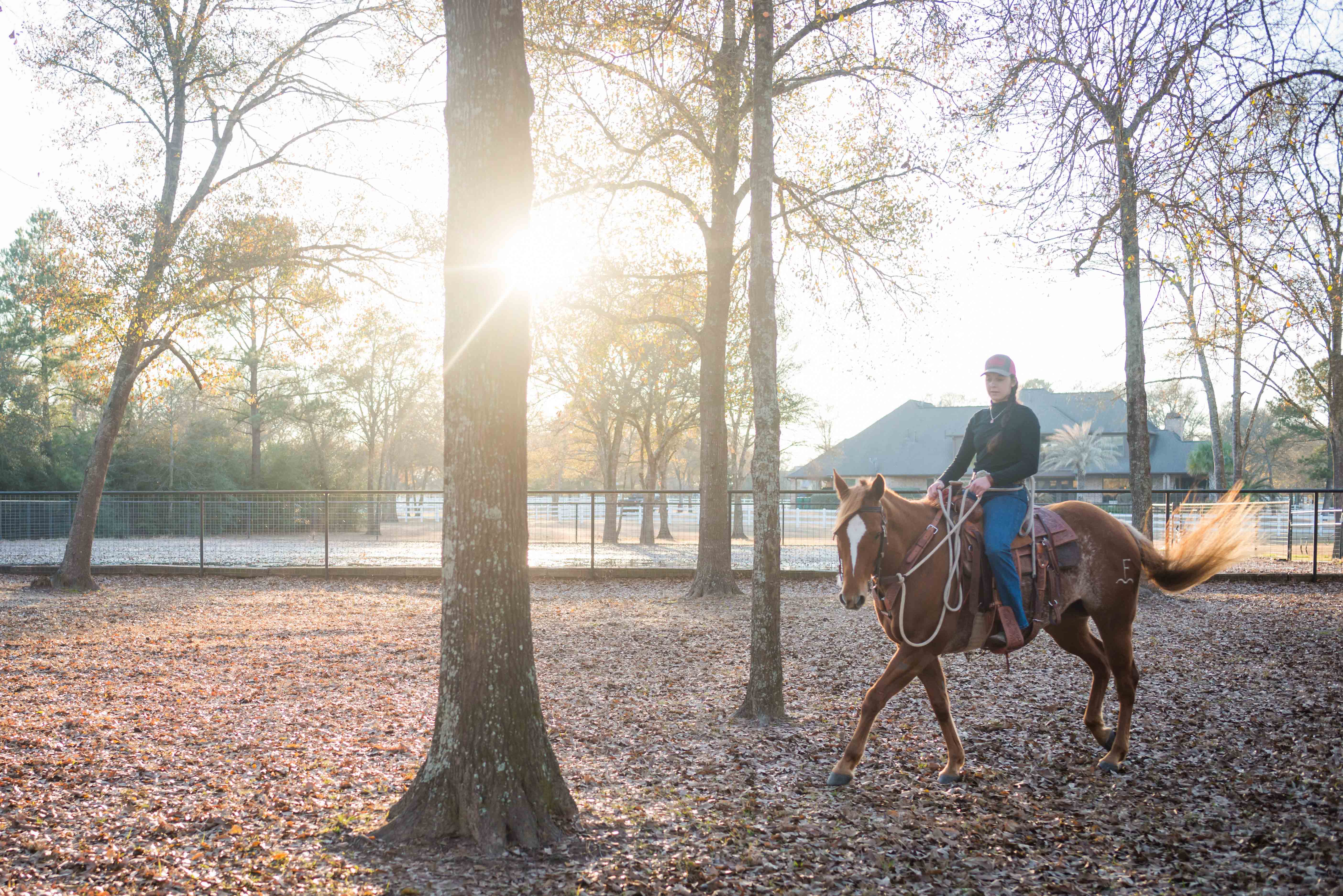 girl riding horse