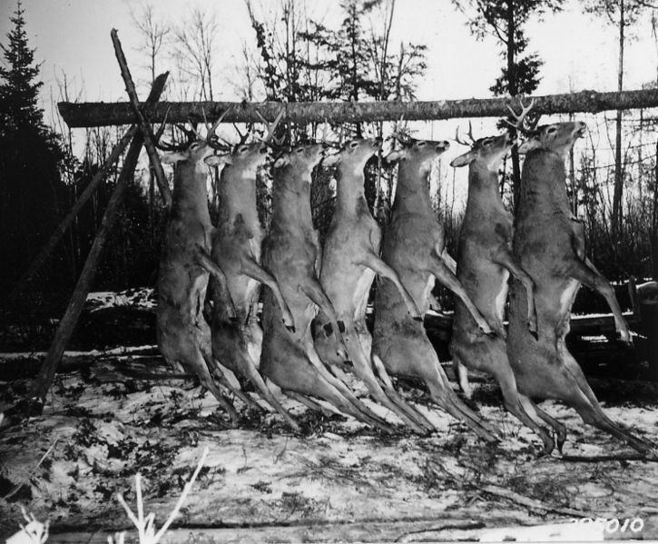 vintage hunting photos