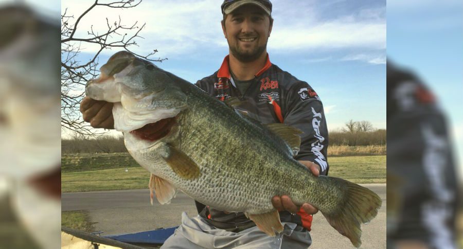 bass