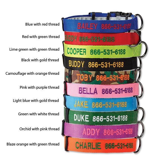 personalized collars