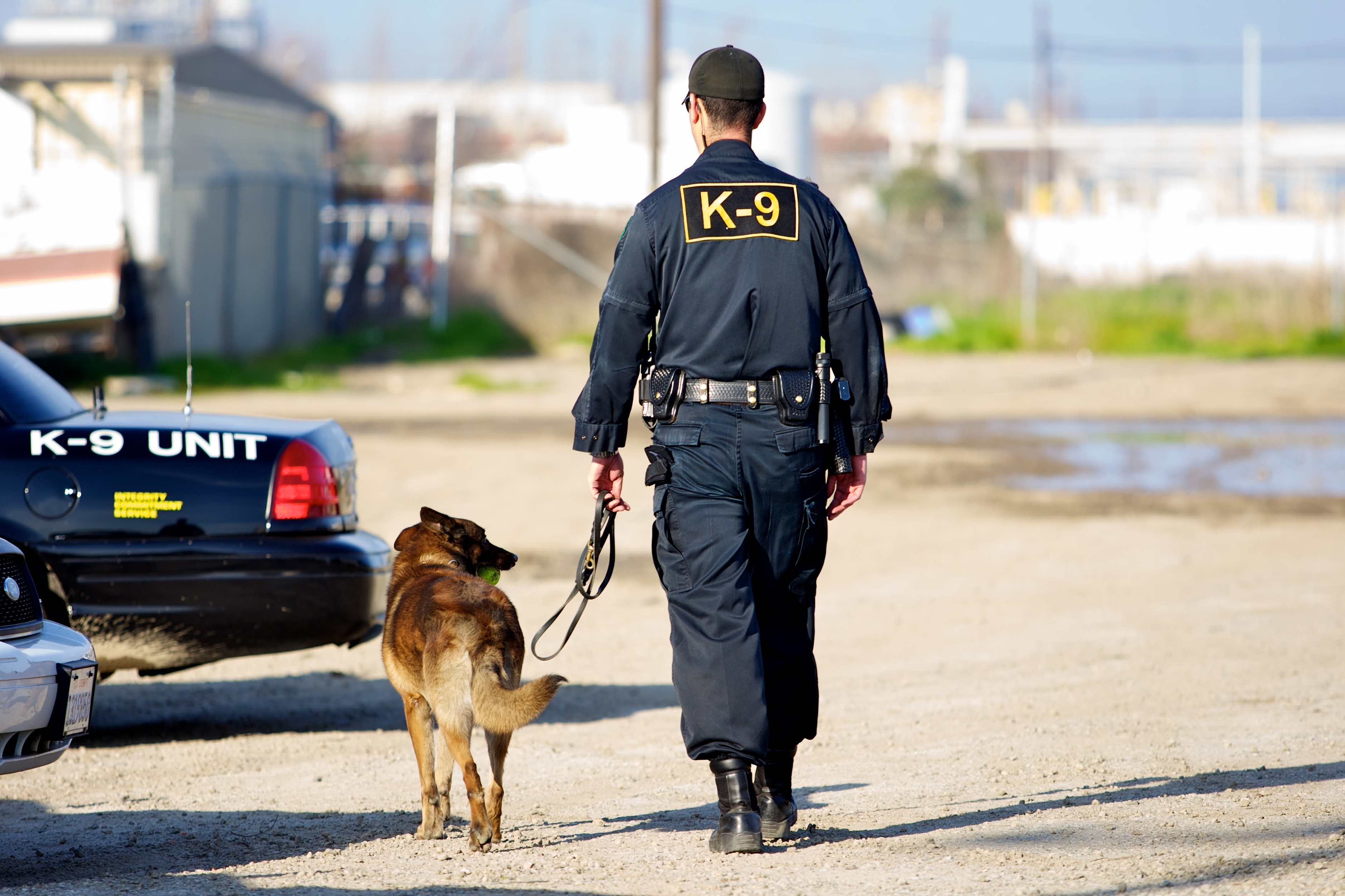 Police K9 Team