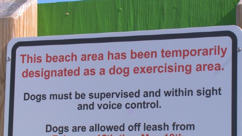 dog beach