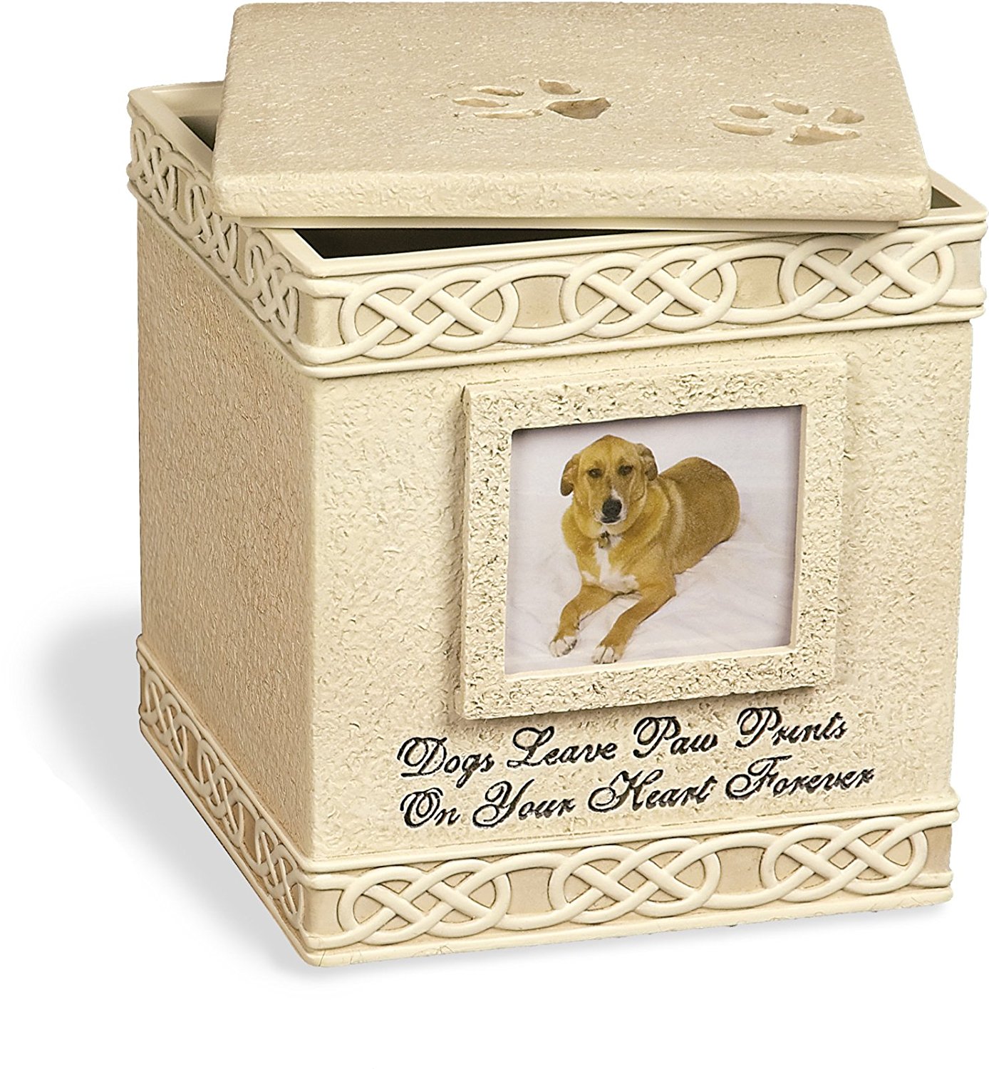 pet urn