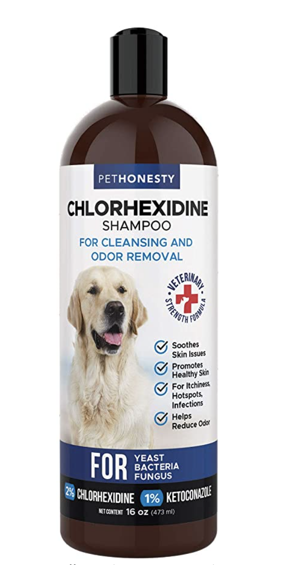 Chlorhexidine Dog Shampoo