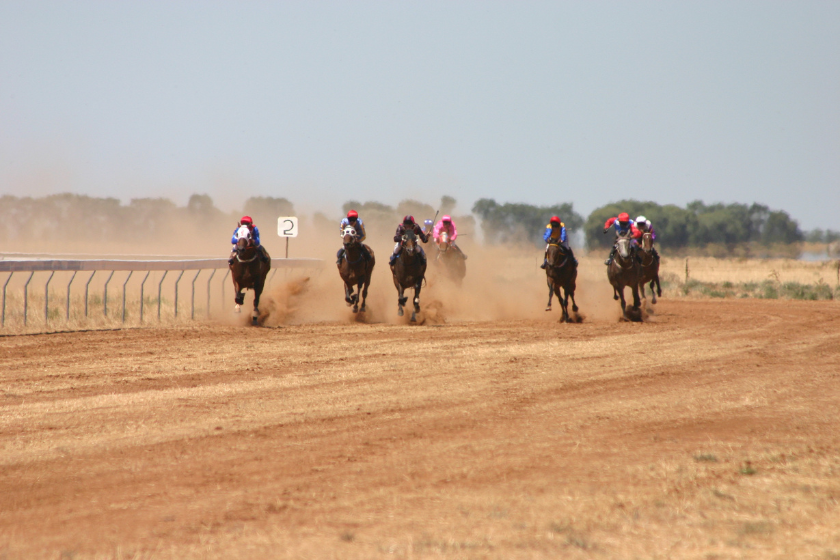 anhidrosis in horses