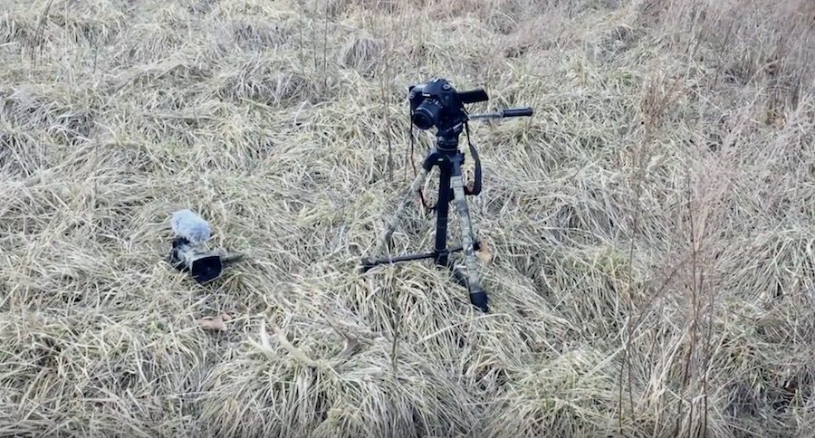 You Need To See This Insider Shed Hunting Secret The Outdoor Industry Doesn't Want You To Know