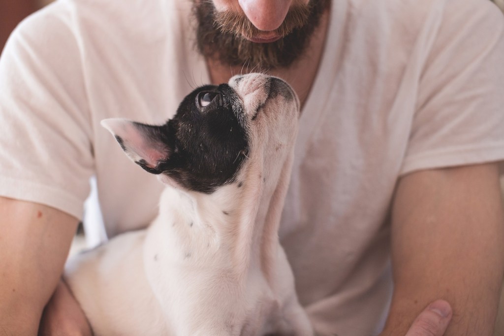 man and dog