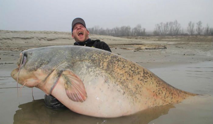 Angler Catches Absolute Monster Catfish Weighing Nearly 300 Pounds