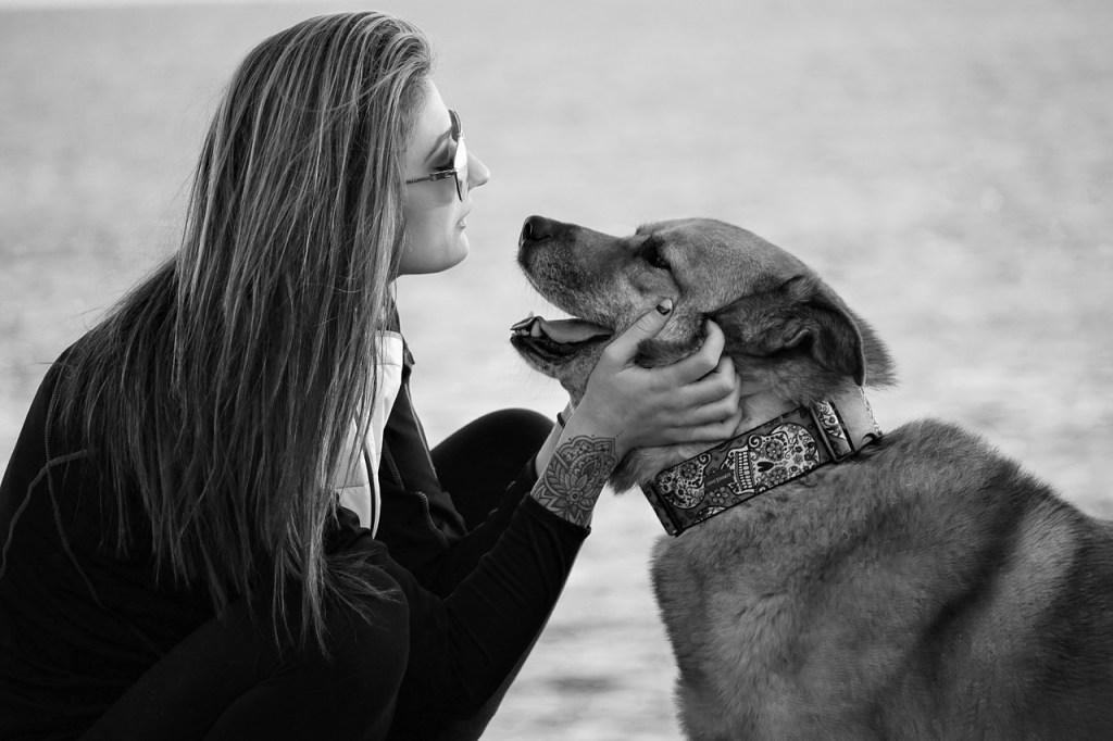 girl petting dog