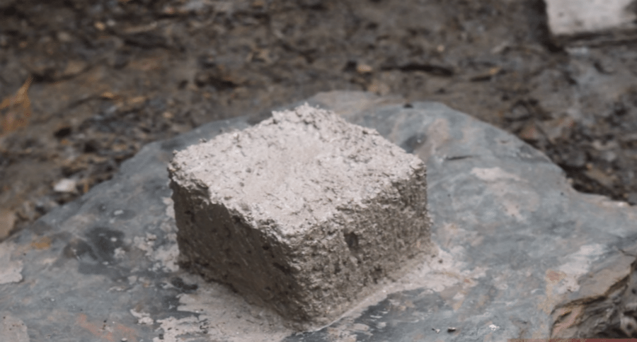 Primitive Technology: Making Lime from Snail Shells - Wide Open Spaces